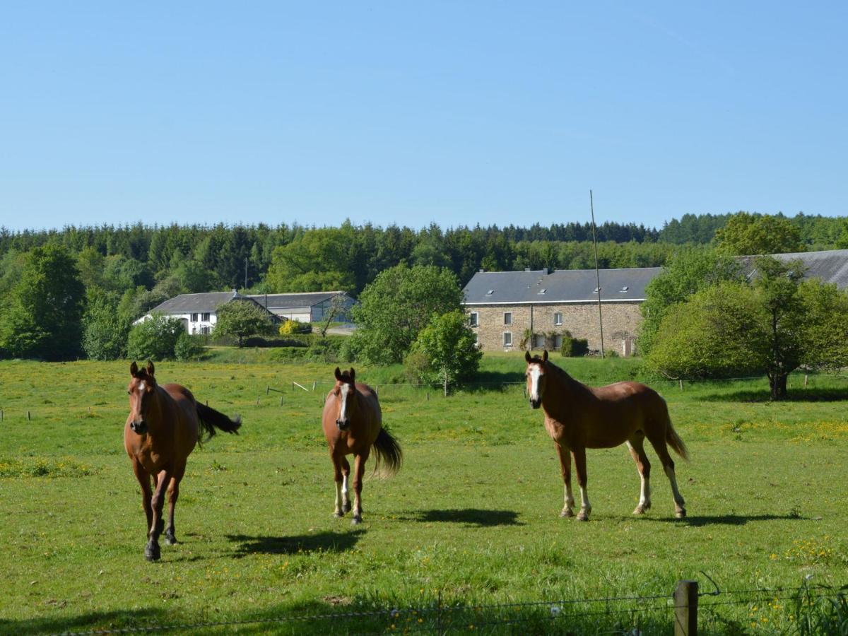 Leuk Huis Met Zwembad Cetturu Oda fotoğraf